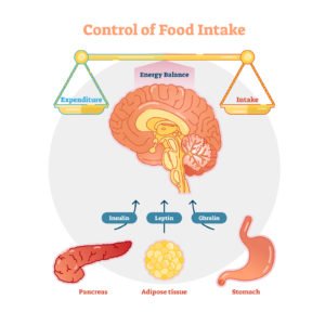 Reduce excessive food intake
